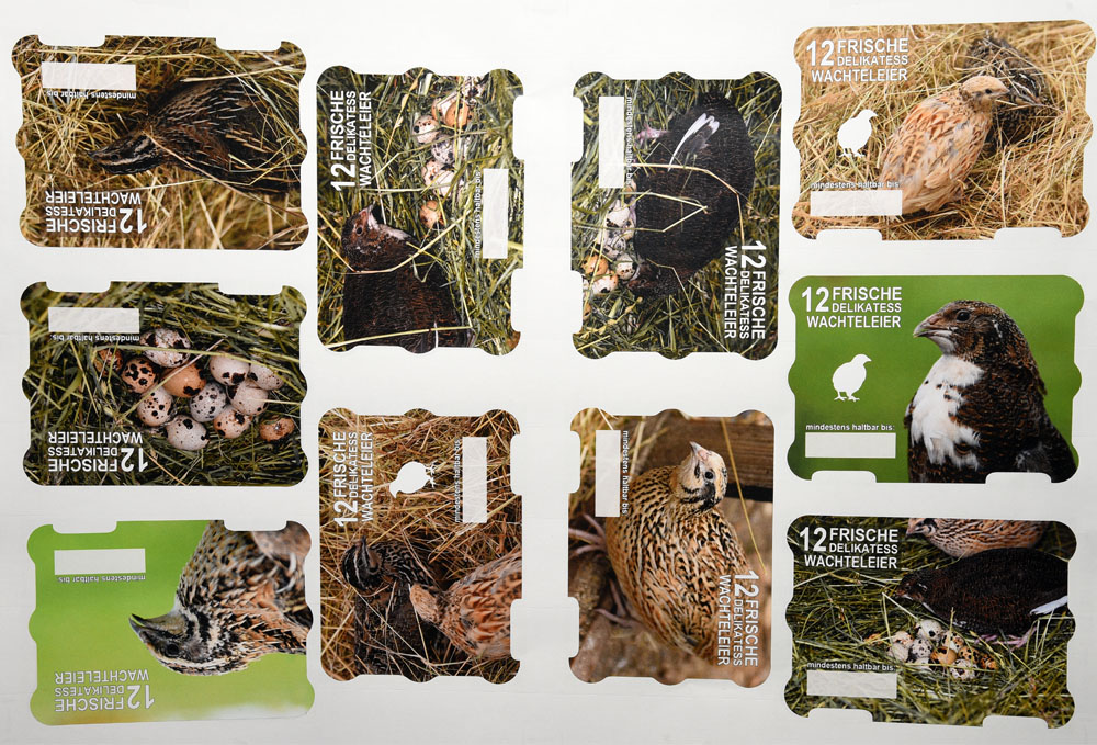 Labels – 12-wachtel, image 5