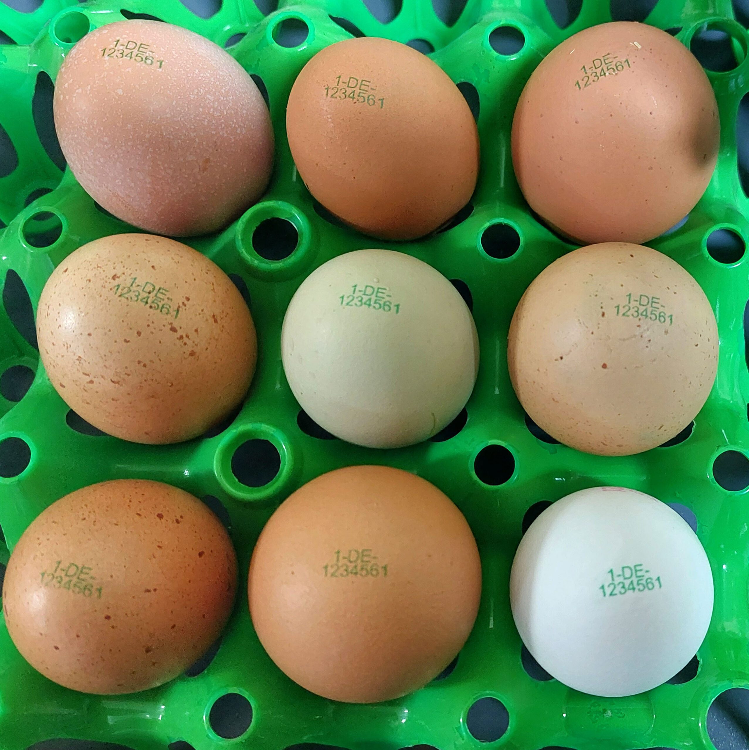 grüne lebensmittelechte Tinte, grüne Eiertinte für TIJ 12,7mm Drucksysteme, Bild 2